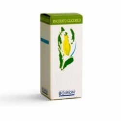 Boiron Olea Europaea...