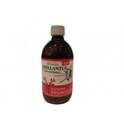 Sygnum Phillantus per le...