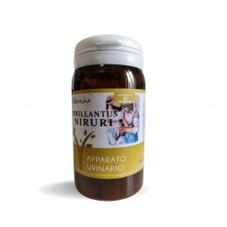 Sygnum Phillantus Niruri...