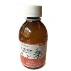 Sygnum Ledum per gli Stati...