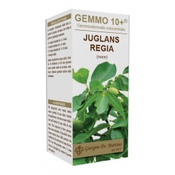 Dr. Giorgini Noce 10+...