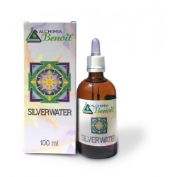 Alchimia Benoit Silver...