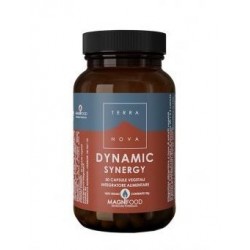 Terranova Dynamic Synergy...