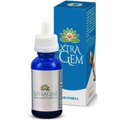 Extragem Vite Canadese...