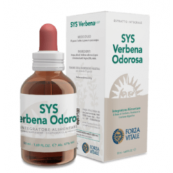 Sys Verbena Odorosa...
