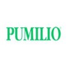 Pumilio