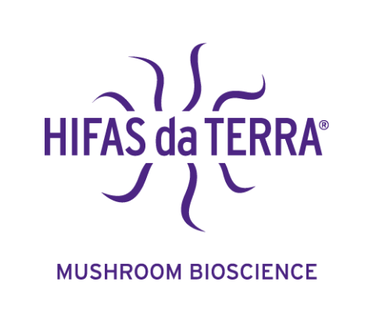 Hifas Da Terra