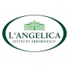 L’Angelica